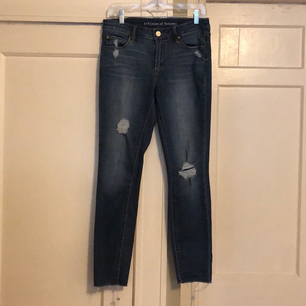 Articles of Society Skinny Leg Distressed Denim